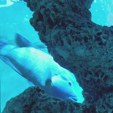 葛西臨海水族園に投稿された画像（2025/10/13）