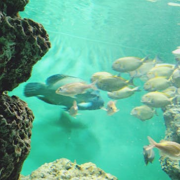 葛西臨海水族園に投稿された画像（2025/10/13）