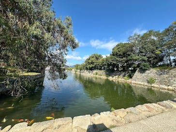 広島城に投稿された画像（2025/10/13）