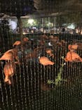 恩賜上野動物園に投稿された画像（2025/10/13）