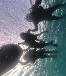 沖縄ダイビングショップシーモールに投稿された画像（2025/10/13）