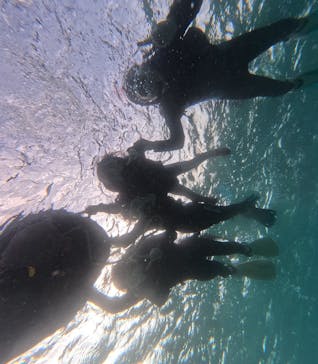 沖縄ダイビングショップシーモールに投稿された画像（2025/10/13）