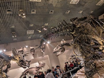国立科学博物館に投稿された画像（2025/10/13）