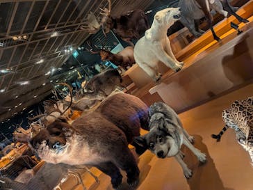 国立科学博物館に投稿された画像（2025/10/13）