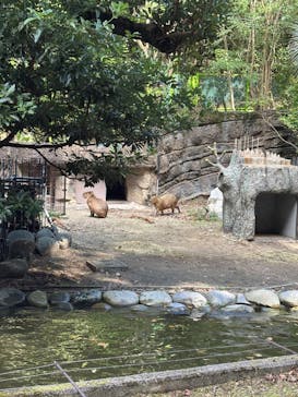名古屋市東山動植物園に投稿された画像（2025/10/13）