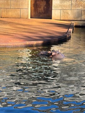 名古屋市東山動植物園に投稿された画像（2025/10/13）