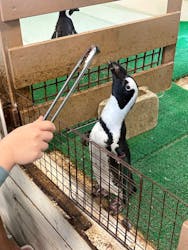 Moff animal world BIGHOPガーデンモール印西店に投稿された画像（2025/10/13）