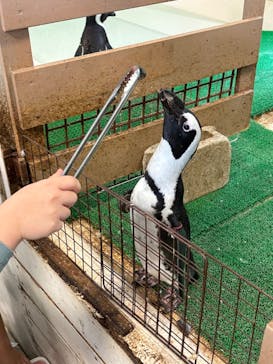 Moff animal world BIGHOPガーデンモール印西店に投稿された画像（2025/10/13）