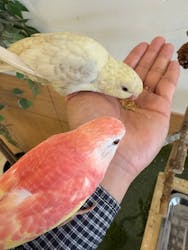 Moff animal world BIGHOPガーデンモール印西店に投稿された画像（2025/10/13）