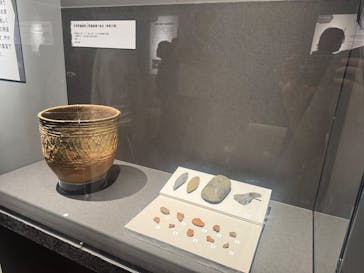 特別展「氷河期展 〜人類が見た4万年前の世界〜」（国立科学博物館）に投稿された画像（2025/10/13）