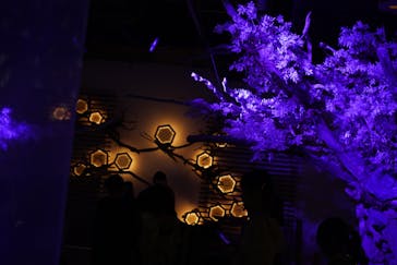 神戸六甲ミーツ・アート2025 beyondに投稿された画像（2025/10/13）