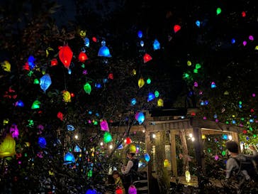 神戸六甲ミーツ・アート2025 beyondに投稿された画像（2025/10/13）