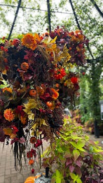 横浜イングリッシュガーデンに投稿された画像（2025/10/13）