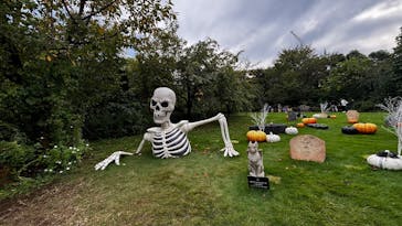 横浜イングリッシュガーデンに投稿された画像（2025/10/13）