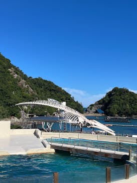 太地町立くじらの博物館に投稿された画像（2025/10/13）