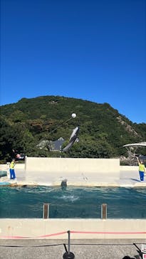 太地町立くじらの博物館に投稿された画像（2025/10/13）