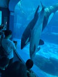 名古屋港水族館に投稿された画像（2025/10/13）