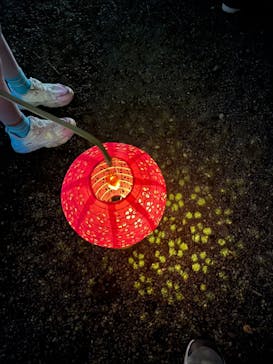 夜間特別開園 秋の夜長の小石川後楽園2025に投稿された画像（2025/10/13）