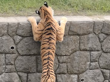 天王寺動物園に投稿された画像（2025/10/13）