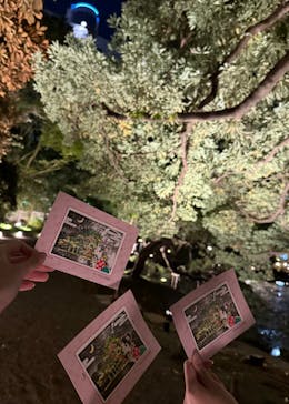 夜間特別開園 秋の夜長の小石川後楽園2025に投稿された画像（2025/10/13）