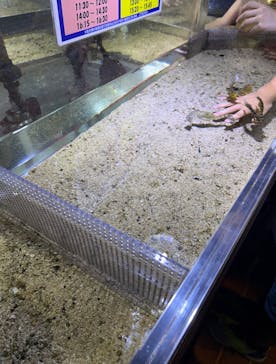 ゼロ距離水族館 伊勢シーパラダイスに投稿された画像（2025/10/13）