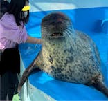 ゼロ距離水族館 伊勢シーパラダイスに投稿された画像（2025/10/13）