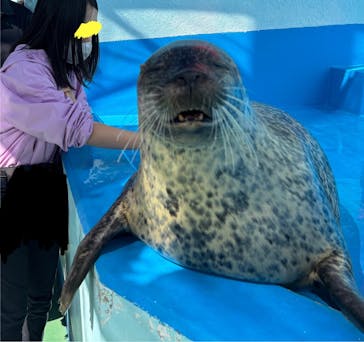 ゼロ距離水族館 伊勢シーパラダイスに投稿された画像（2025/10/13）