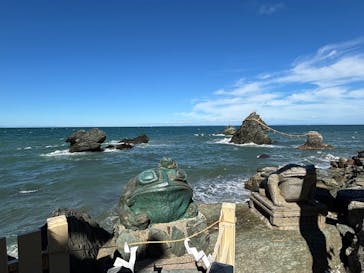 ゼロ距離水族館 伊勢シーパラダイスに投稿された画像（2025/10/13）