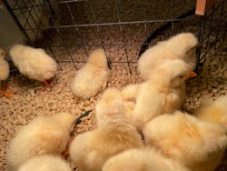 Moff animal cafe イオンモール幕張新都心店に投稿された画像（2025/10/13）