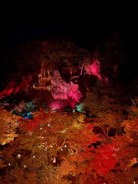 NAKED夜さんぽ™ 石川・那谷寺に投稿された画像（2025/10/13）