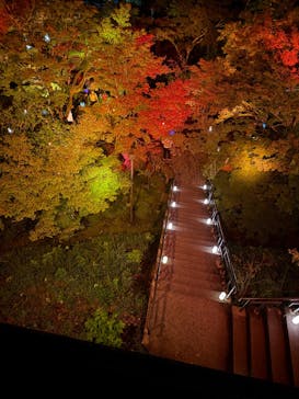 NAKED夜さんぽ™ 石川・那谷寺に投稿された画像（2025/10/13）