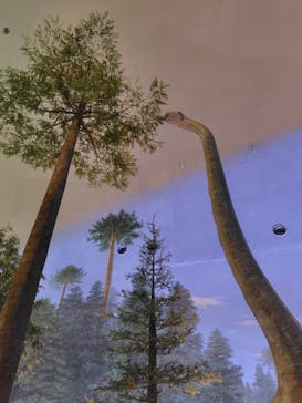 福井県立恐竜博物館に投稿された画像（2025/10/13）