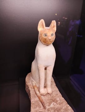 ACN ラムセス大王展 ファラオたちの黄金に投稿された画像（2025/10/13）