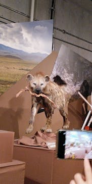 特別展「氷河期展 〜人類が見た4万年前の世界〜」（国立科学博物館）に投稿された画像（2025/10/13）