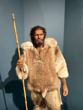 特別展「氷河期展 〜人類が見た4万年前の世界〜」（国立科学博物館）に投稿された画像（2025/10/13）