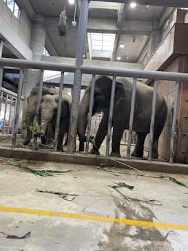 名古屋市東山動植物園に投稿された画像（2025/10/13）