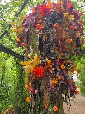 横浜イングリッシュガーデンに投稿された画像（2025/10/13）