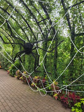 横浜イングリッシュガーデンに投稿された画像（2025/10/13）