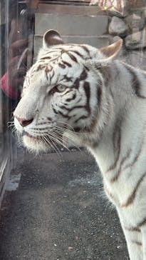 東武動物公園に投稿された画像（2025/10/13）