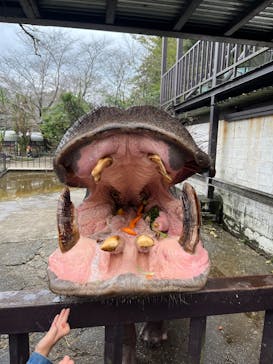 ANIMAL WONDER REZOURT 市原ぞうの国・サユリワールドに投稿された画像（2025/10/13）