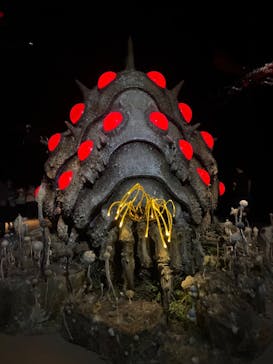 金曜ロードショーとジブリ展（静岡展）に投稿された画像（2025/10/13）