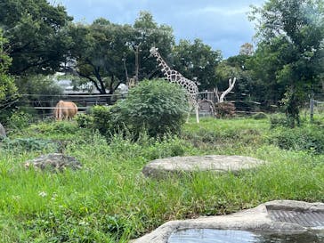 天王寺動物園に投稿された画像（2025/10/13）