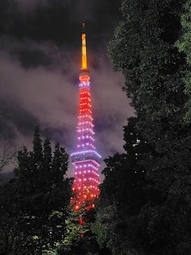 RED° 東京タワーに投稿された画像（2025/10/13）