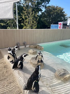 マリンワールド海の中道に投稿された画像（2025/10/13）