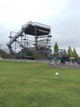 滋賀農業公園ブルーメの丘に投稿された画像（2025/10/13）