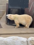 恩賜上野動物園に投稿された画像（2025/10/14）