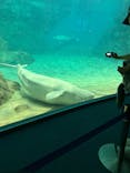名古屋港水族館に投稿された画像（2025/10/14）