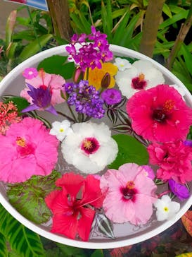 熱川バナナワニ園に投稿された画像（2025/10/13）