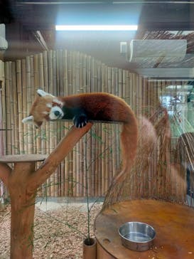 熱川バナナワニ園に投稿された画像（2025/10/13）