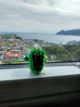 熱川バナナワニ園に投稿された画像（2025/10/13）